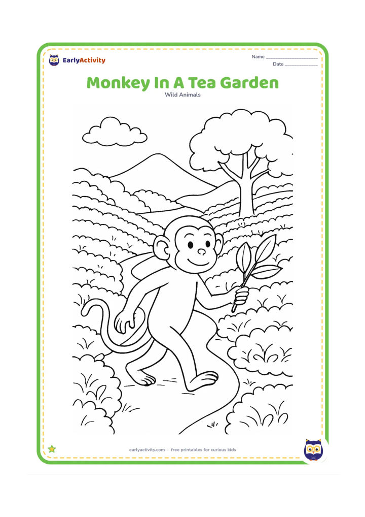Colouring page: Draw one monkey walking along a path through an Indian tea garden, carrying a leafy twig. Include rows of tea bushes, sloping ground, shade trees and distant mountain contours.