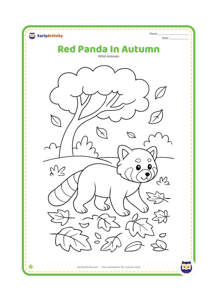 Colouring page: Draw a red panda walking through fallen autumn leaves beneath a broad tree. Add a few leaves floating in the air, a curved branch and several simple shrubs.