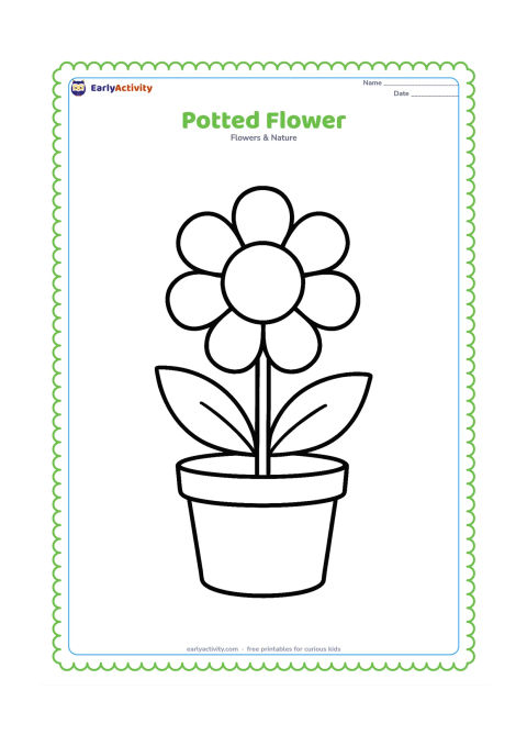 Colouring page: Draw one flowering plant with a large round bloom growing from a simple flowerpot. Include two broad leaves and a plain pot with a wide rim.