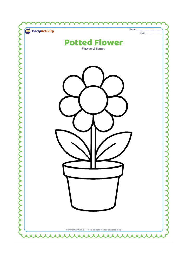 Colouring page: Draw one flowering plant with a large round bloom growing from a simple flowerpot. Include two broad leaves and a plain pot with a wide rim.
