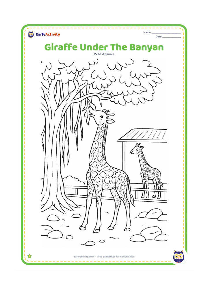 Colouring page: A giraffe reaches into the spreading branches of a banyan tree while another giraffe stands farther back near a shaded shelter. Show hanging roots, patterned coats, stones and a low…