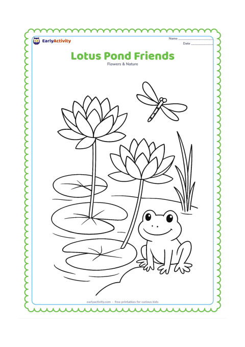 Colouring page: Draw two lotus flowers rising above round pond leaves, with a frog sitting on the bank and a dragonfly flying nearby. Include gentle water ripples and a few reeds.