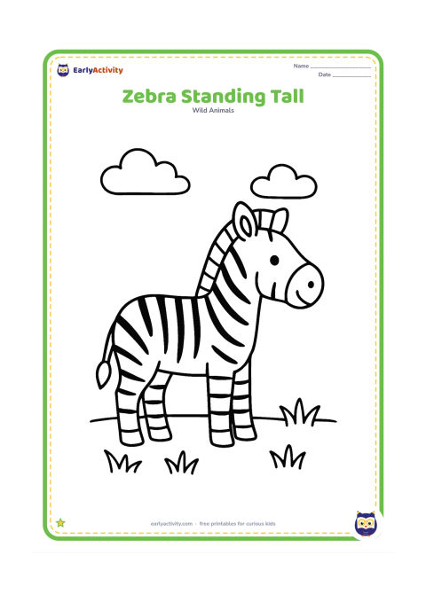 Colouring page: Draw one friendly zebra standing in profile with four clear legs, a large head, upright ears and a short mane. Place only a few tufts of grass and two simple clouds around it.