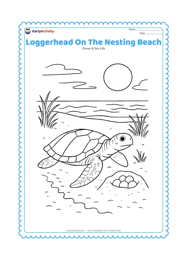 Colouring page: Draw an adult sea turtle on a quiet sandy beach beside a nest mound, with a trail behind it, dune grass, moonlight, and distant waves.