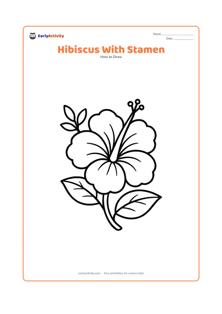 Worksheet: Draw a side-facing hibiscus with five broad overlapping petals, a long curved stamen extending from the centre, a curved stem and two leaves. Add a small leafy branch behind the flower.