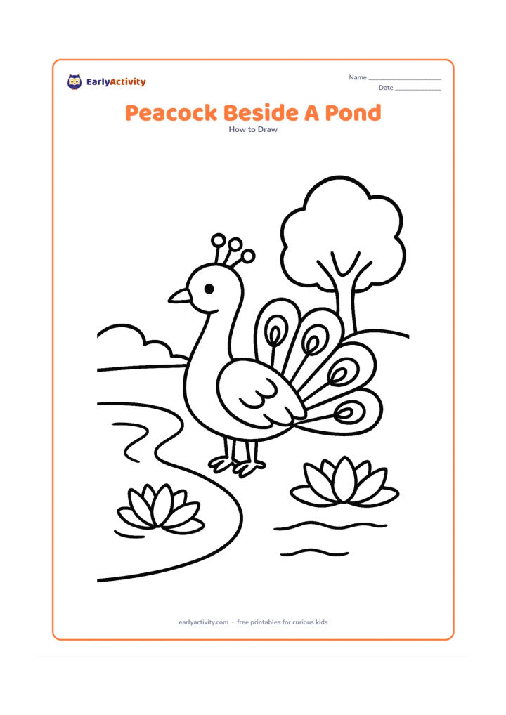 Worksheet: A simple peacock with a partly open tail standing beside a small pond. Include two large water lilies, a curved shoreline and one rounded tree in the distance.