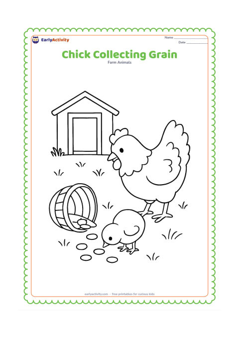 Colouring page: Draw a chick pecking beside a tipped basket with several large grain kernels scattered on the ground. Include a hen watching nearby, a coop doorway, and grass.