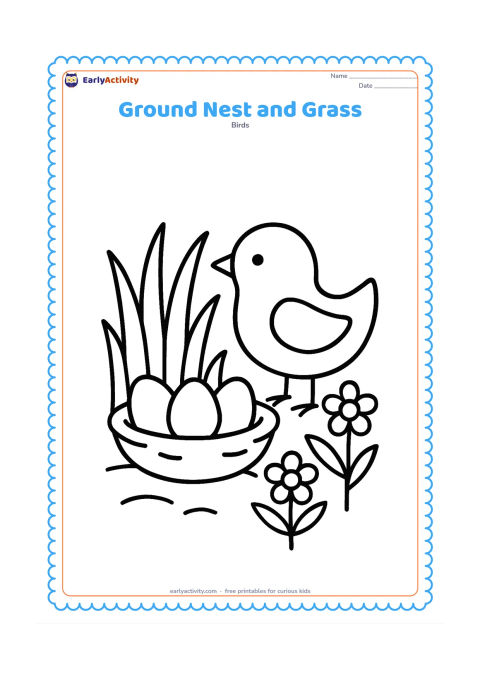 Colouring page: A low nest with three eggs sits on the ground among tall grass blades and two simple flowers. A friendly parent bird stands beside the nest.