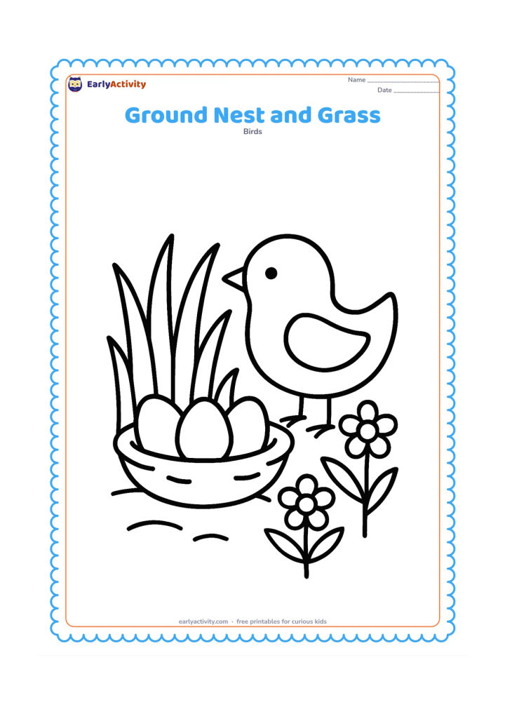 Colouring page: A low nest with three eggs sits on the ground among tall grass blades and two simple flowers. A friendly parent bird stands beside the nest.