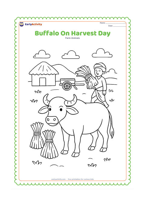 Colouring page: Draw a buffalo standing near neatly tied bundles of harvested grain in an Indian farmyard. Include a farmer carrying one bundle, a simple cart and a distant thatched shed.