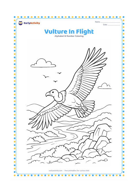 Colouring page: Draw a vulture soaring above a rocky Indian landscape, wings spread wide and feathers clearly separated. Below it, show a river, scrub plants, distant hills, and a few small birds in the…