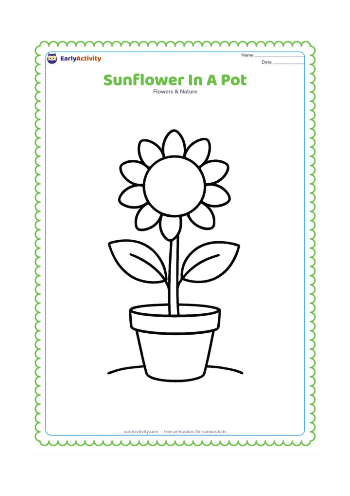 Colouring page: One tall sunflower grows from a plain flowerpot, with two broad leaves and a large open bloom. Add a small curved ground line beneath the pot and leave the background empty.