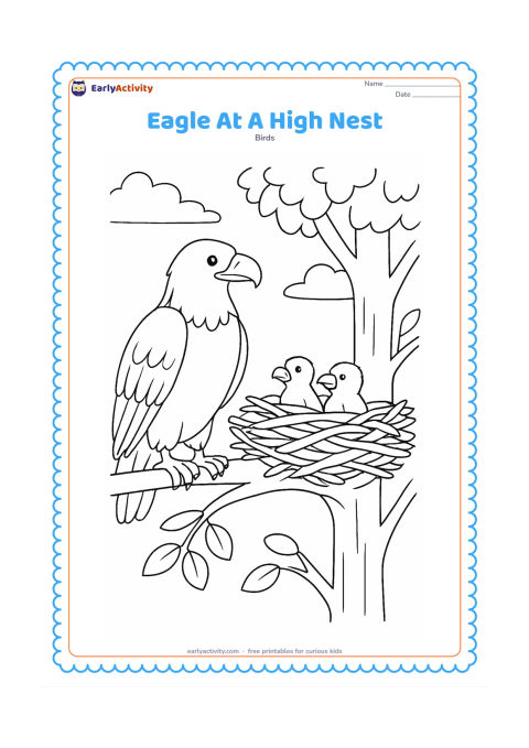 Colouring page: Draw an adult eagle standing beside a large nest high in a tall tree, with two chicks visible inside. Show several sturdy branches and a wide sky behind them.