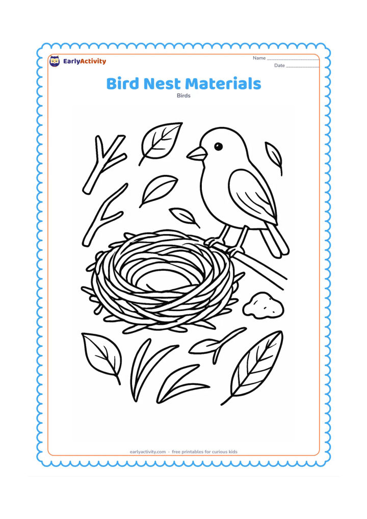 Colouring page: Place a finished nest at the centre with loose twigs, grass, leaves, feathers and a small piece of mud arranged around it. A parent bird stands nearby beside a tree branch.