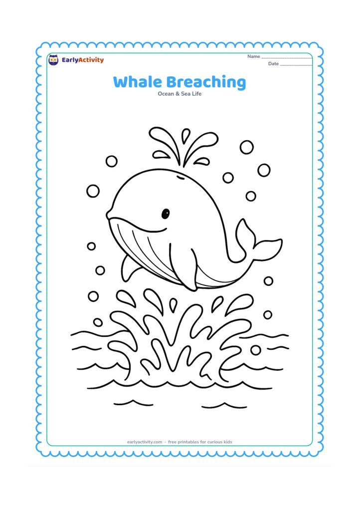 Colouring page: Draw a whale leaping partly out of the ocean, with its fluke, fins, and blowhole visible above a lively splash. Add several medium bubbles and distant low waves.
