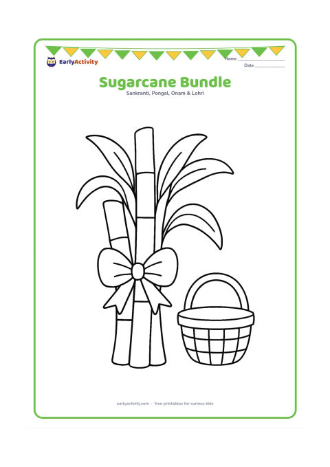 Colouring page: Three tall sugarcane stalks tied together with a simple ribbon shape, with broad leaves and one small harvest basket beside them.