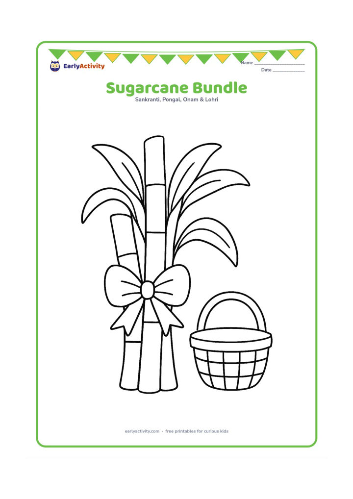 Colouring page: Three tall sugarcane stalks tied together with a simple ribbon shape, with broad leaves and one small harvest basket beside them.
