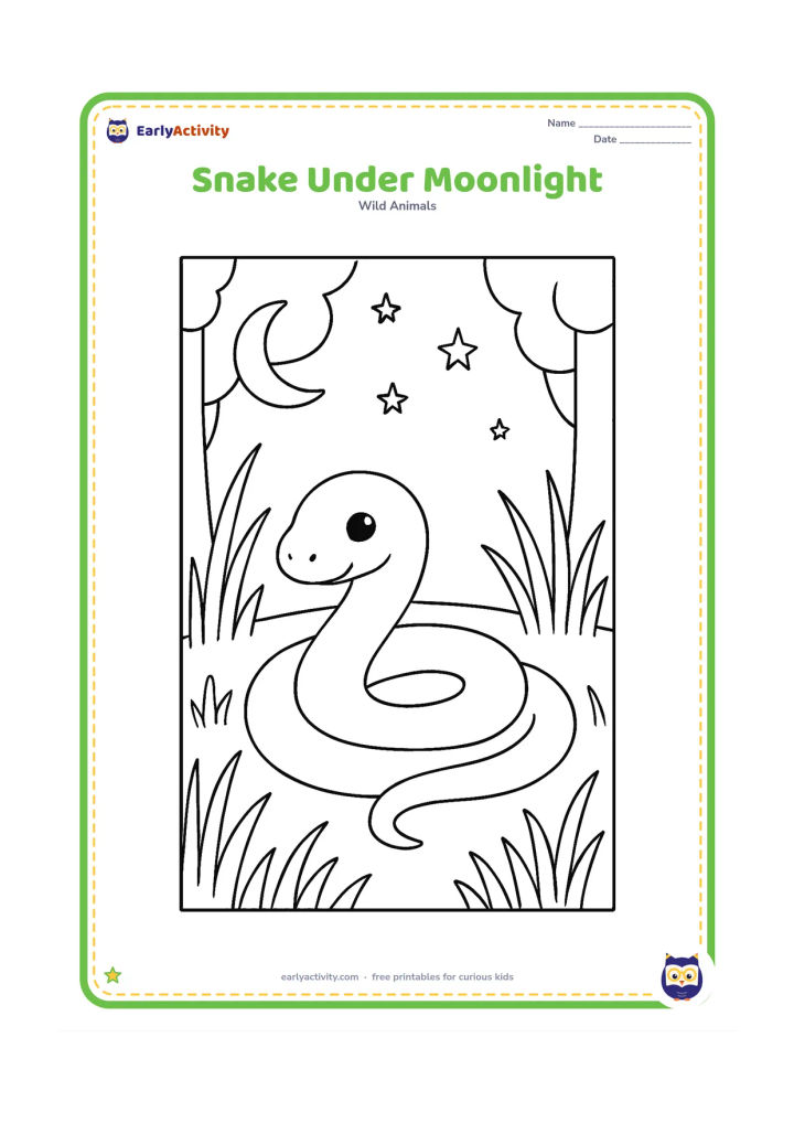 Colouring page: Draw a snake curled on a quiet forest floor beneath a crescent moon, with tall grass, two trees, and a few simple stars in the sky. Keep the scene gentle rather than mysterious.