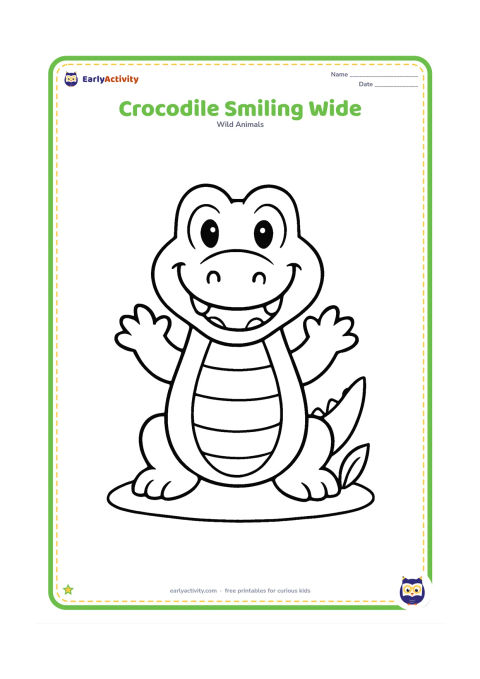 Colouring page: Draw a front-facing friendly crocodile with a wide open smile showing a few rounded teeth, large eyes, and raised front feet. Place it on a simple patch of grass with one leafy plant.