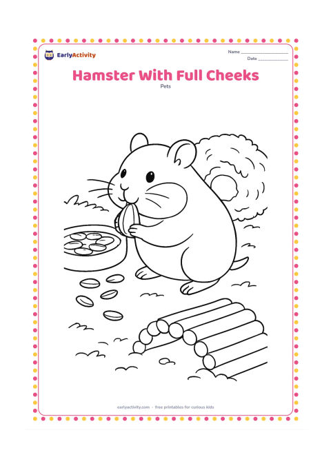 Colouring page: A hamster carries several seeds toward its nest, with clearly rounded cheek pouches and a trail leading from the food dish. Show the nest, bedding, wooden bridge and a few scattered seeds.