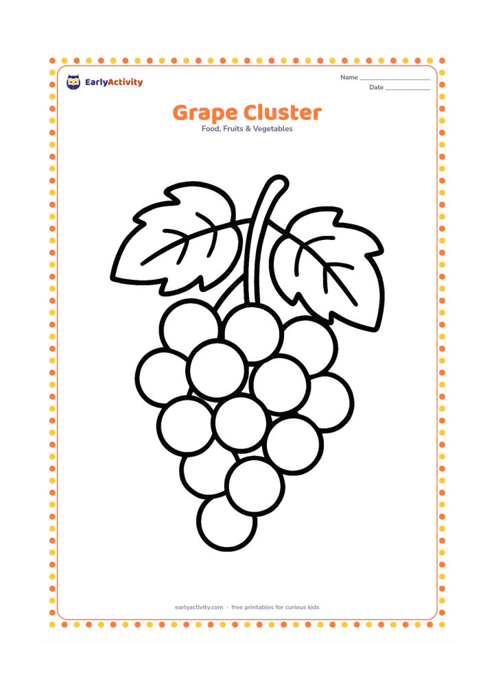 Colouring page: A large bunch of round grapes hanging from a stem with two big leaves, with each grape clearly separated.