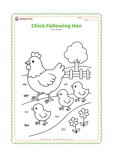 Colouring page: Draw a row of three chicks following a hen across a grassy farm path. Add a few flowers, a wooden fence, and a distant rounded tree.