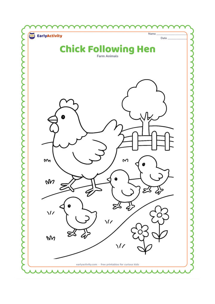Colouring page: Draw a row of three chicks following a hen across a grassy farm path. Add a few flowers, a wooden fence, and a distant rounded tree.