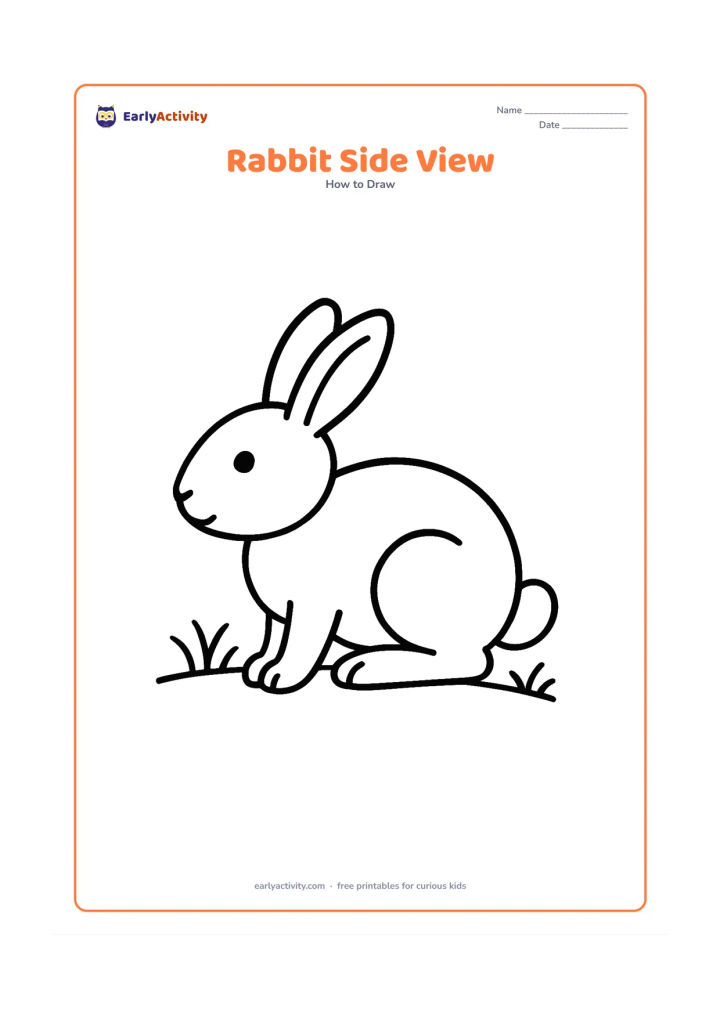 Worksheet: Show a complete side-view rabbit facing left, with an oval body, small head, two overlapping ears, bent hind leg, front paw and round tail. Add a short curved ground line and a few…