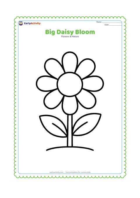 Colouring page: Draw one large open daisy facing forward, with a round centre, broad petals, a sturdy stem and two oversized leaves. Leave generous empty space around the flower and include only a small…
