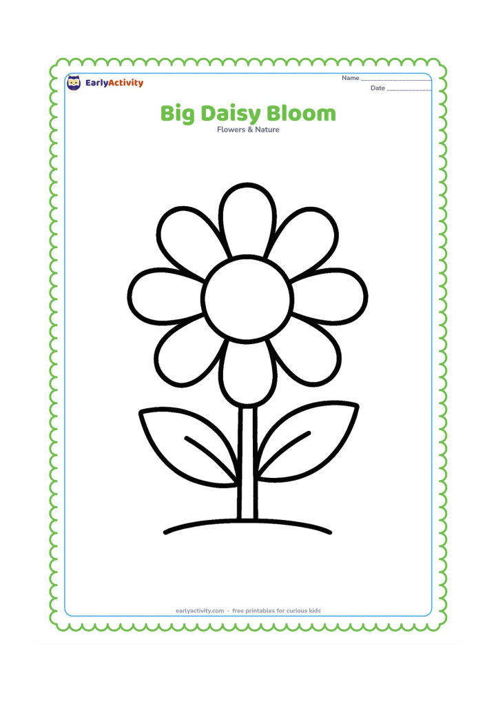 Colouring page: Draw one large open daisy facing forward, with a round centre, broad petals, a sturdy stem and two oversized leaves. Leave generous empty space around the flower and include only a small…