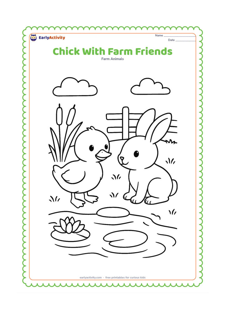 Colouring page: Draw a chick beside a friendly duckling and a small rabbit near a farm pond. Include reeds, lily pads, a stepping stone, and a low fence in the background.