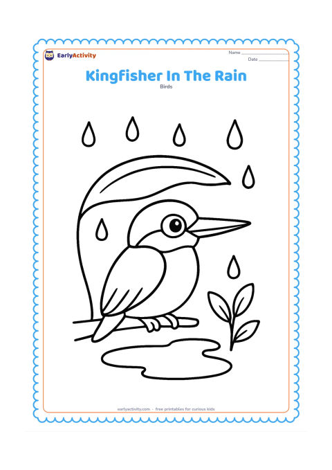 Colouring page: A kingfisher perches under one broad leaf during a gentle rain shower. Add a puddle, a few large raindrops and one simple plant beside it.