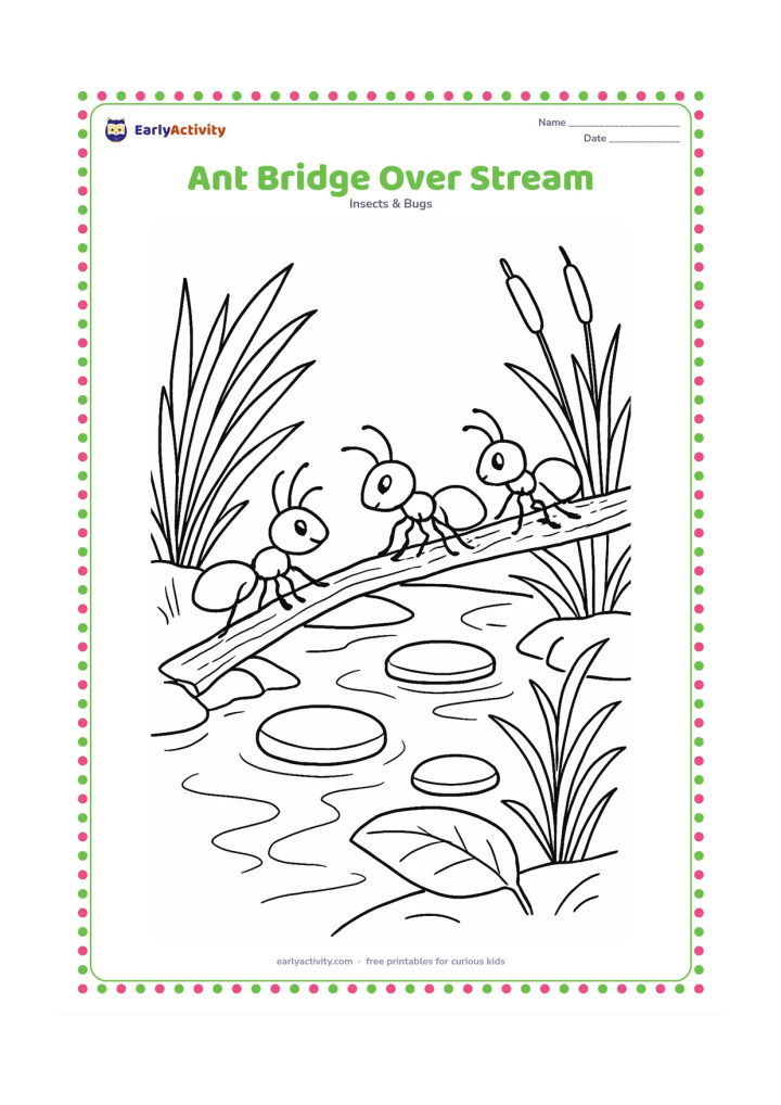 Colouring page: A group of ants works together to cross a narrow garden stream using a fallen twig bridge. Include stepping stones, reeds, leaves, and reflections in the water.