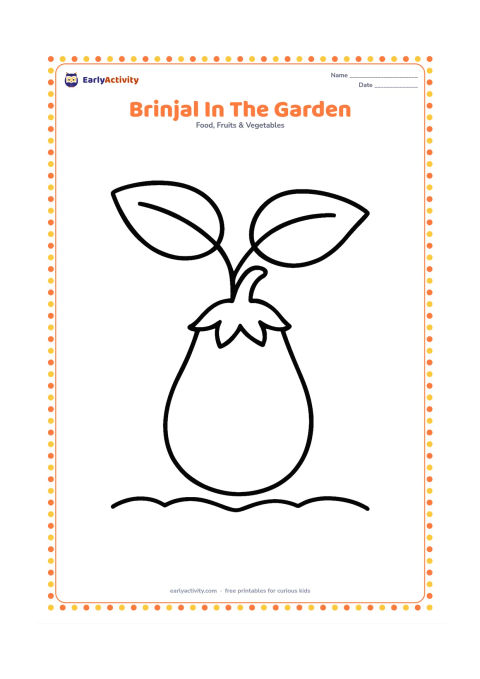 Colouring page: Draw one large brinjal hanging from a short plant with two broad leaves and a simple garden line below. Show the vegetable in a clear side view.