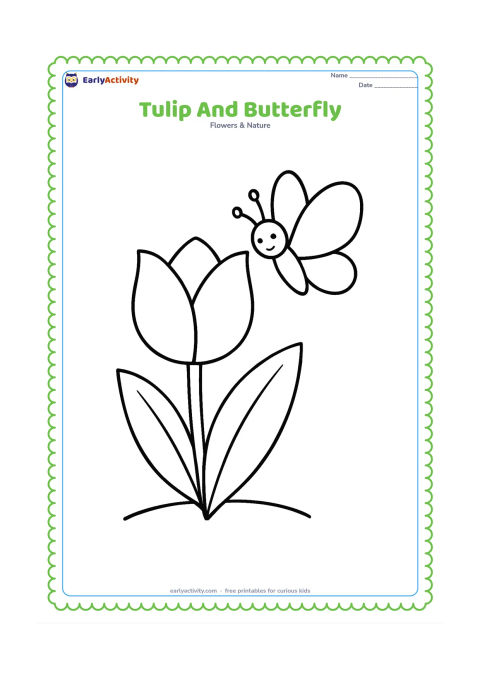 Colouring page: Draw one oversized tulip beside one large, simple butterfly hovering near its petals. Add two broad leaves and a short curved ground line.