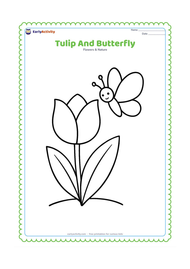 Colouring page: Draw one oversized tulip beside one large, simple butterfly hovering near its petals. Add two broad leaves and a short curved ground line.