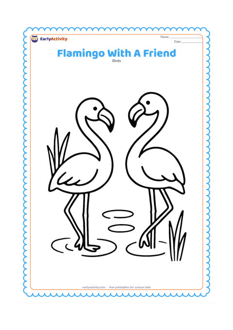 Colouring page: Draw two friendly flamingos standing together at the water's edge, one facing left and one facing right. Add a few large reeds and three simple ripples between them.
