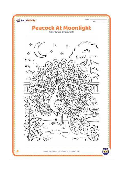 Colouring page: Draw an Indian peacock displaying its full fan tail in a palace garden at night, with a crescent moon, carved garden railing, flowering plants and a quiet fountain. Keep the setting…