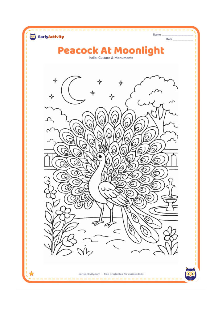 Colouring page: Draw an Indian peacock displaying its full fan tail in a palace garden at night, with a crescent moon, carved garden railing, flowering plants and a quiet fountain. Keep the setting…