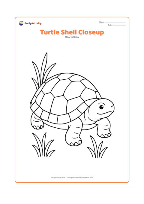 Worksheet: Show a close three-quarter view of a turtle with a large domed shell taking up most of the page. Include varied shell plates, a visible head and front legs, with a few pond plants softly…