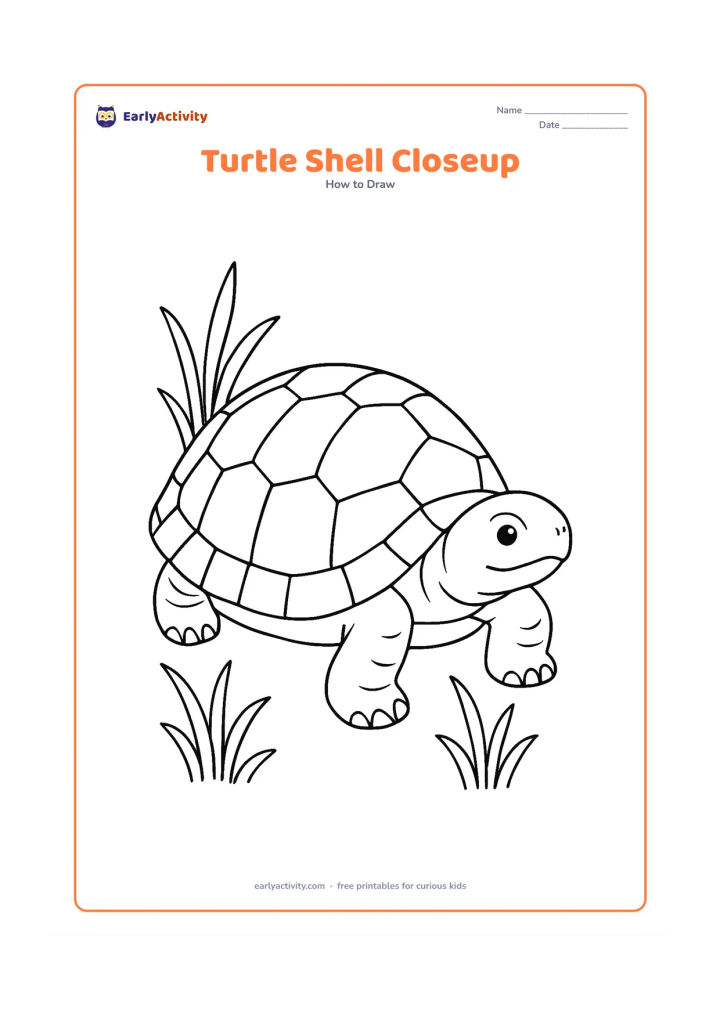 Worksheet: Show a close three-quarter view of a turtle with a large domed shell taking up most of the page. Include varied shell plates, a visible head and front legs, with a few pond plants softly…