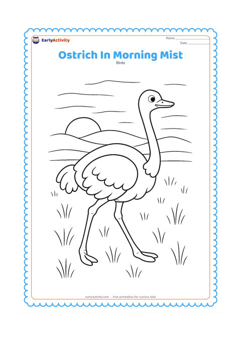 Colouring page: A single ostrich walks through an open grassland at sunrise, with a low sun, soft-looking layered hills represented by simple outlines and thin grass stems. No shading fills are needed.