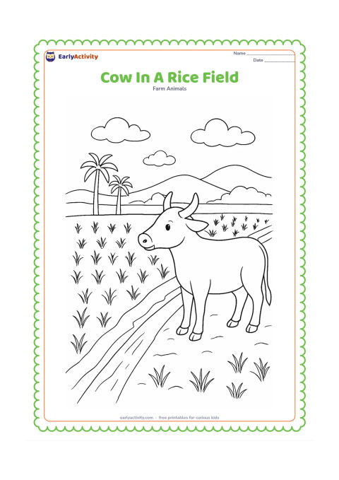 Colouring page: A cow stands on a raised path beside an Indian rice field, with neat rows of young plants, a small irrigation channel, distant palm trees, and low hills. Show the cow looking toward the…