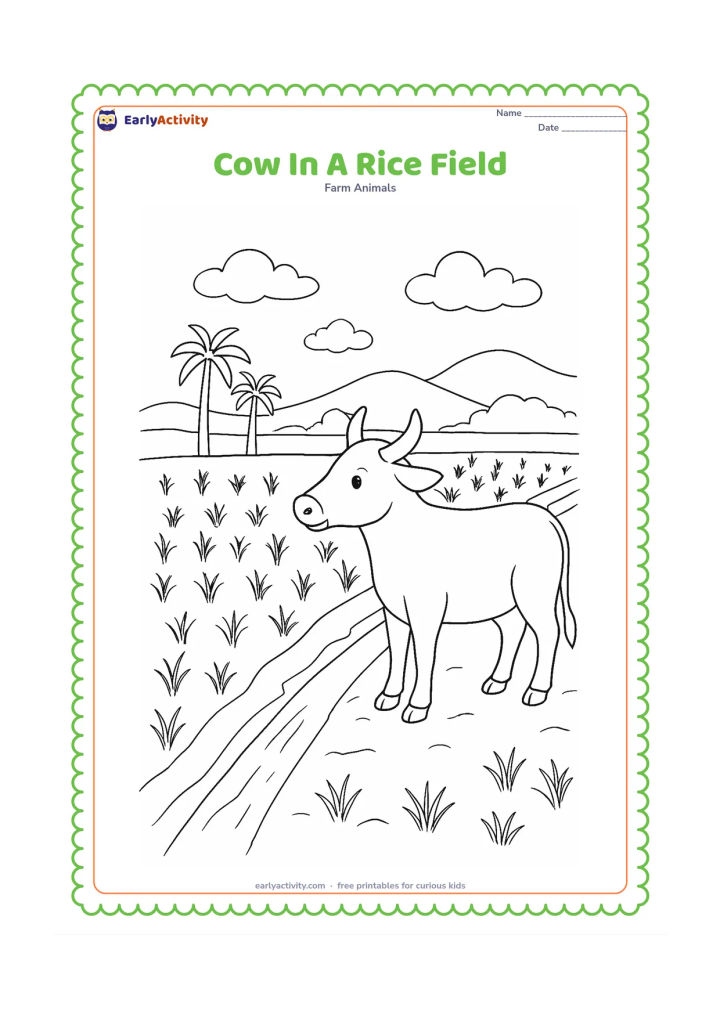 Colouring page: A cow stands on a raised path beside an Indian rice field, with neat rows of young plants, a small irrigation channel, distant palm trees, and low hills. Show the cow looking toward the…