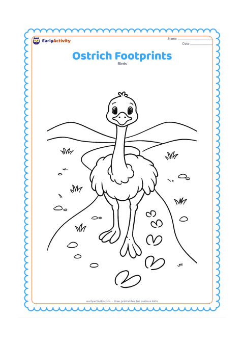 Colouring page: An ostrich walks toward the viewer along a sandy path, leaving a trail of clear two-toed footprints behind it. Add sparse grass, small stones and low hills.