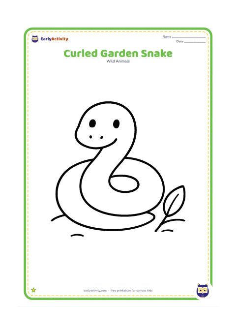 Colouring page: Draw one friendly snake curled into a large round shape on open ground, with a small leaf beside it. Keep the snake's body broad and uncluttered so its outline is easy to colour.