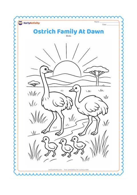 Colouring page: A family group of two adults and three chicks crosses a broad African grassland at dawn, with a low sun, layered hills, acacia silhouettes, varied grass and a winding track.