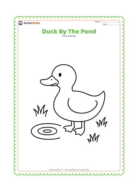 Colouring page: A single friendly duck stands beside a small pond, facing left. Include large oval body shapes, a broad bill, two simple webbed feet, a few grass tufts and one round water ripple.