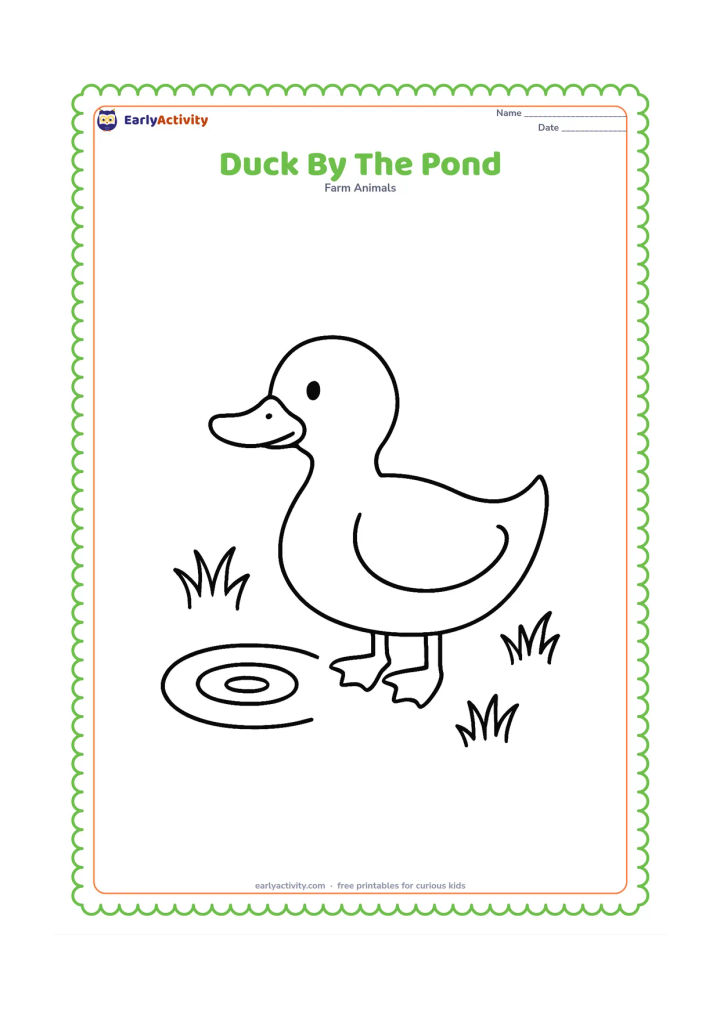 Colouring page: A single friendly duck stands beside a small pond, facing left. Include large oval body shapes, a broad bill, two simple webbed feet, a few grass tufts and one round water ripple.