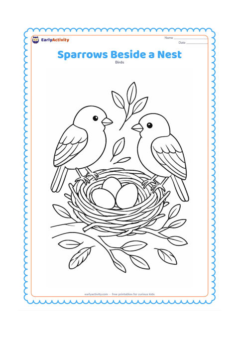 Colouring page: Two sparrows stand on either side of a nest containing three eggs on a tree branch. Add a few feathers, twigs and leaves around the nest.